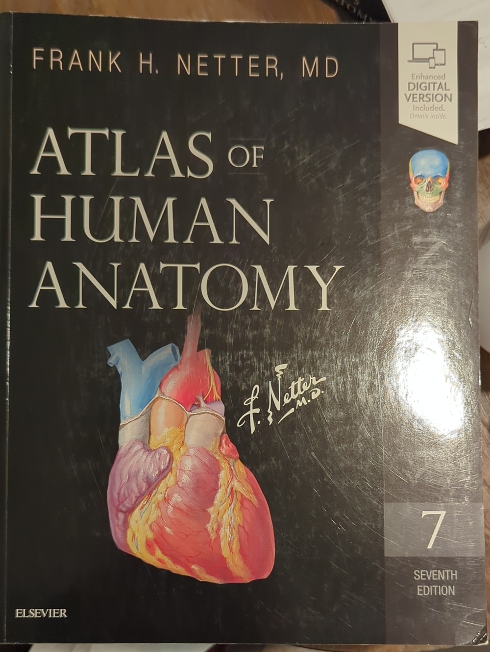 Atlas of Human Anatomy by Frank H. Netter MD - Illustrated Medical Text